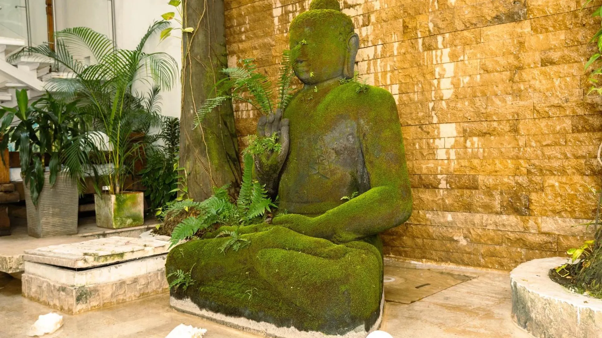Hotel Aguamarina Boutique (Adults Only) Cartagena