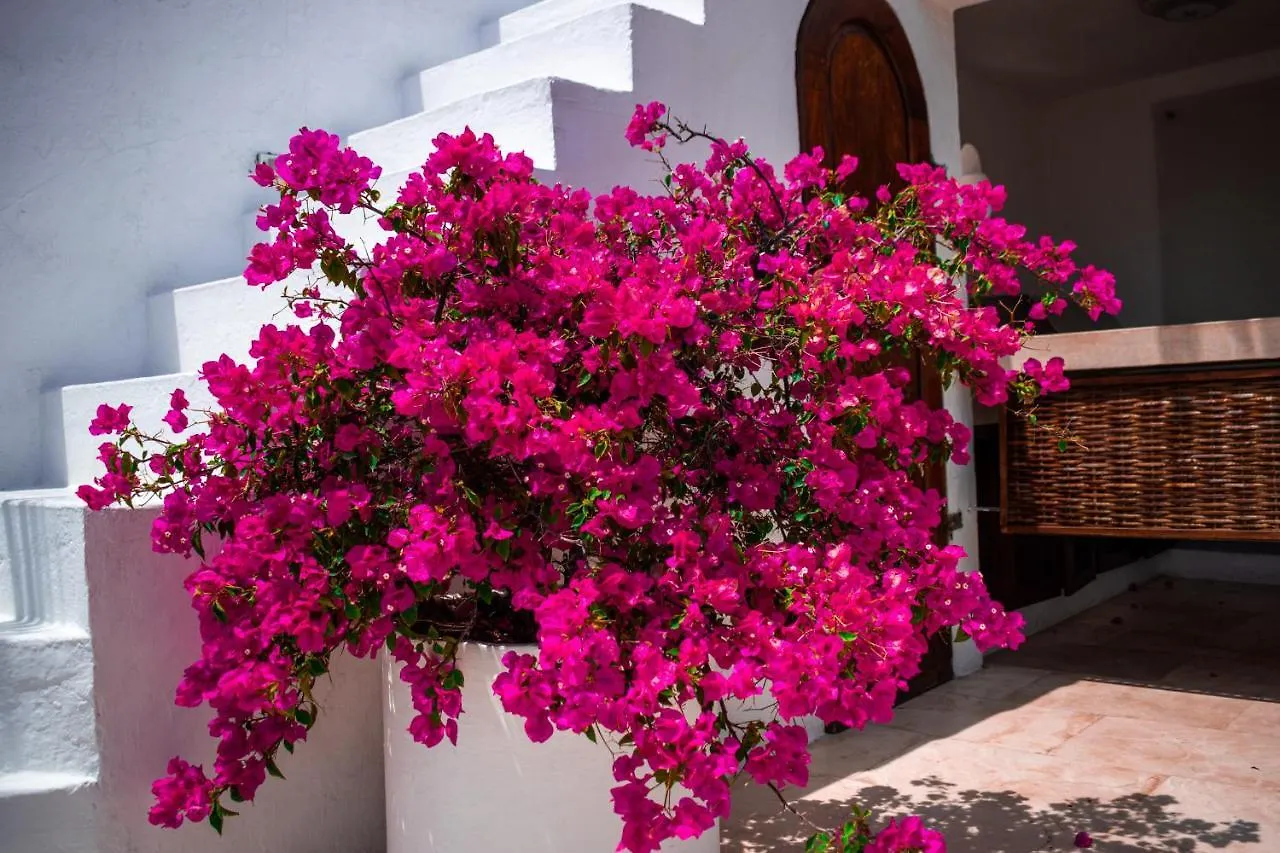 Hotel Aguamarina Boutique (Adults Only) Cartagena